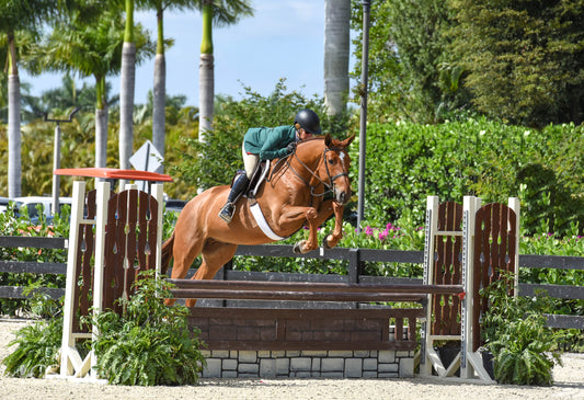 Winning in WON Equestrian: Rachel Kennedy
